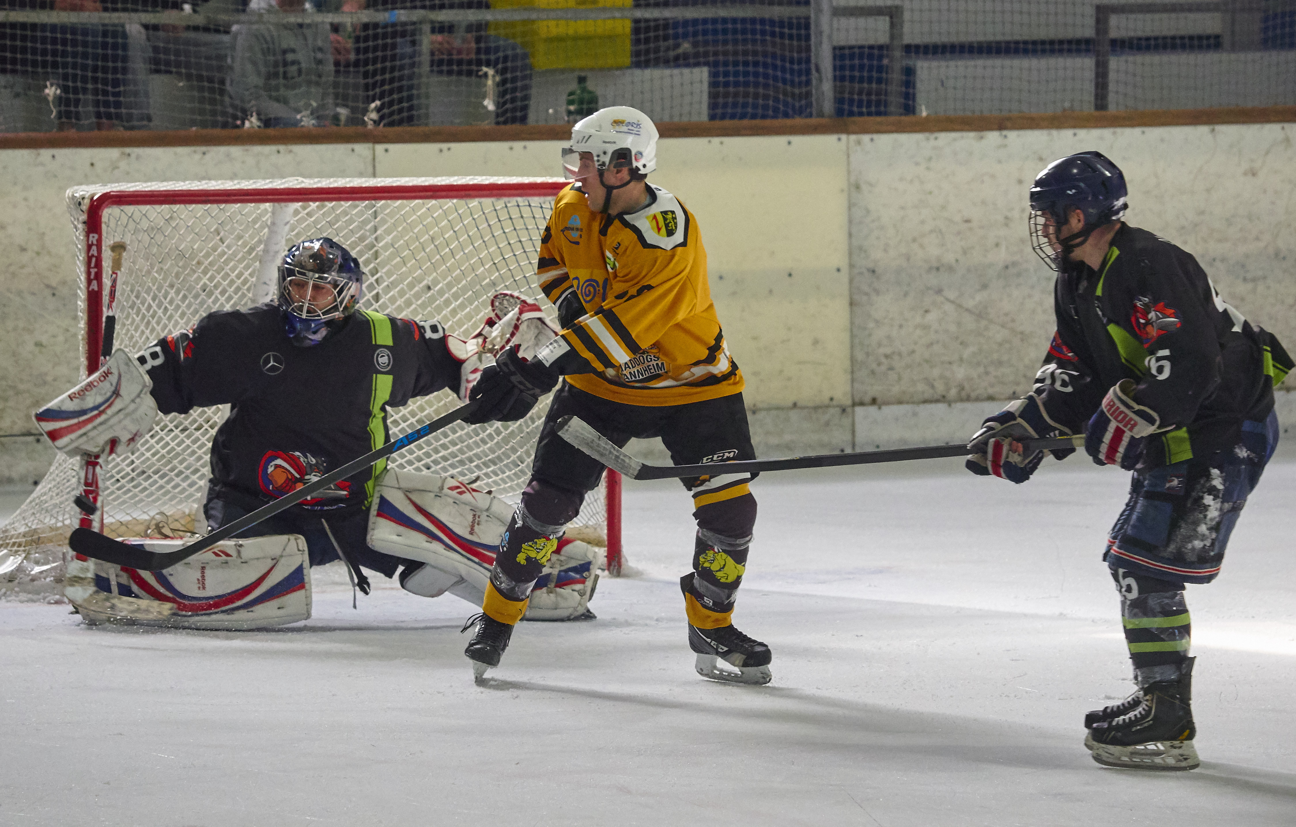 DPL Finale 2018 P4081137